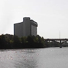 Lady Bird Lake - Colorado River - Texas USA