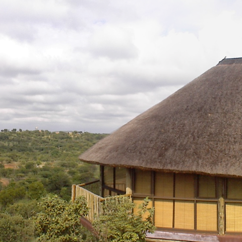 View over the bush veld by Monateng