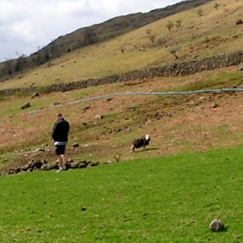 Some farm area in or near the Lake District - UK