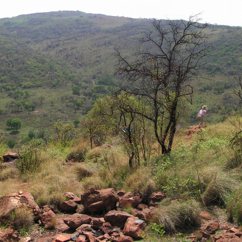 Kliprivier Nature Reserve - Gauteng South
