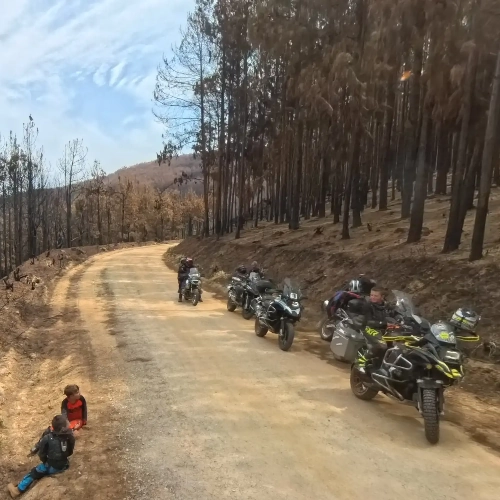 Plantation road in Mpumalanga